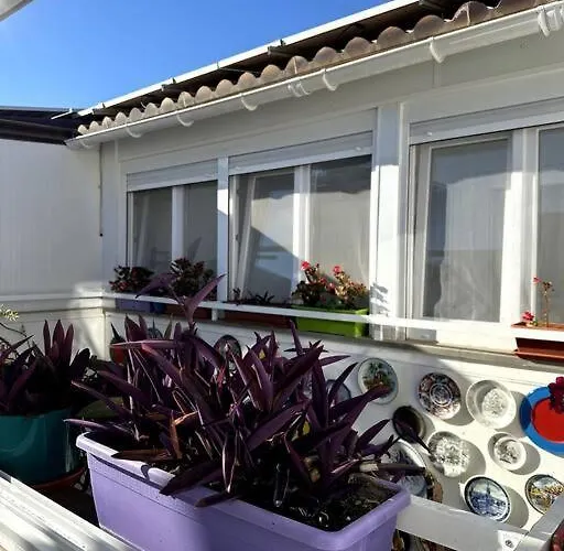 Jara Premium Apartments !